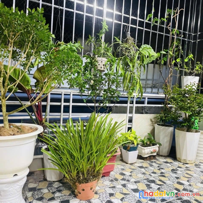 Bán nhà phố trương định, hoàng mai 32m, 5 tầng. giá: 6.1 tỷ