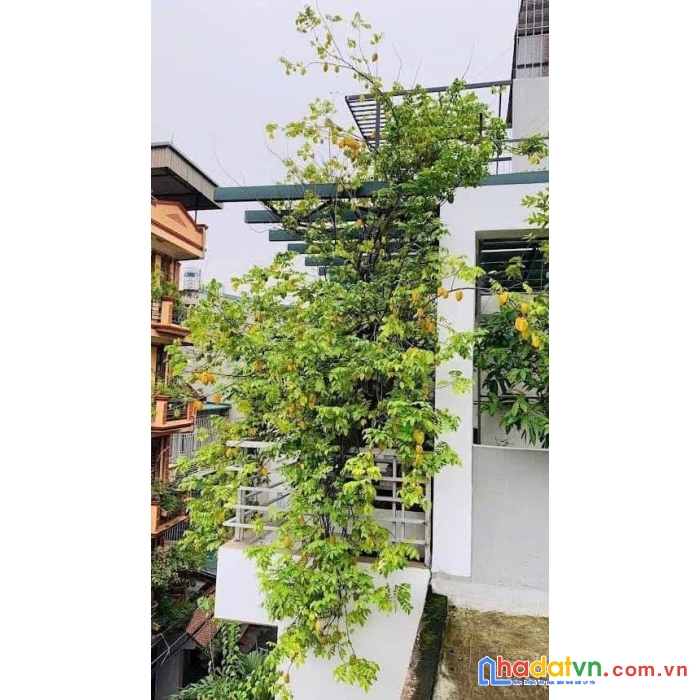 Nhà đẹp hoàng hoa thám 5 tầng, mặt tiền quyền lực 7m