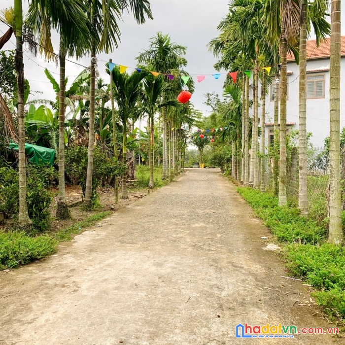 ❓❓mở block 04 lô đất liền kề cách đường quốc lộ 500m 