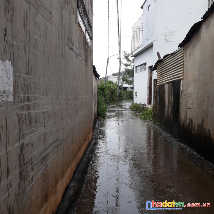 Bán gấp đất thổ cư đường duy tân (gần cổng chào bảo vinh), tổng diện tích 173.5 mét vuông