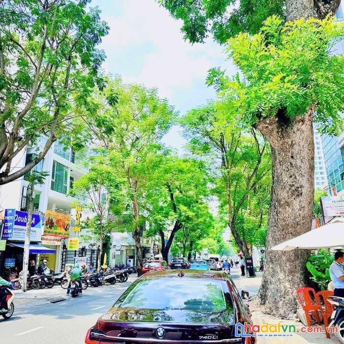 Cho thuê 19 trương định q3 dt 5,2x26m, hầm lửng 5 lầu
