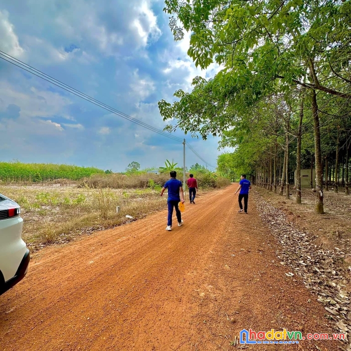 Đất bán cách chợ minh thạnh 5 phút tại dầu tiếng, bình dương