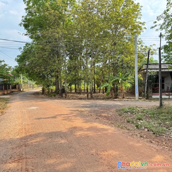 Bán đất minh thạnh - dầu tiếng - bình dương đối diện trường thcs minh thạnh