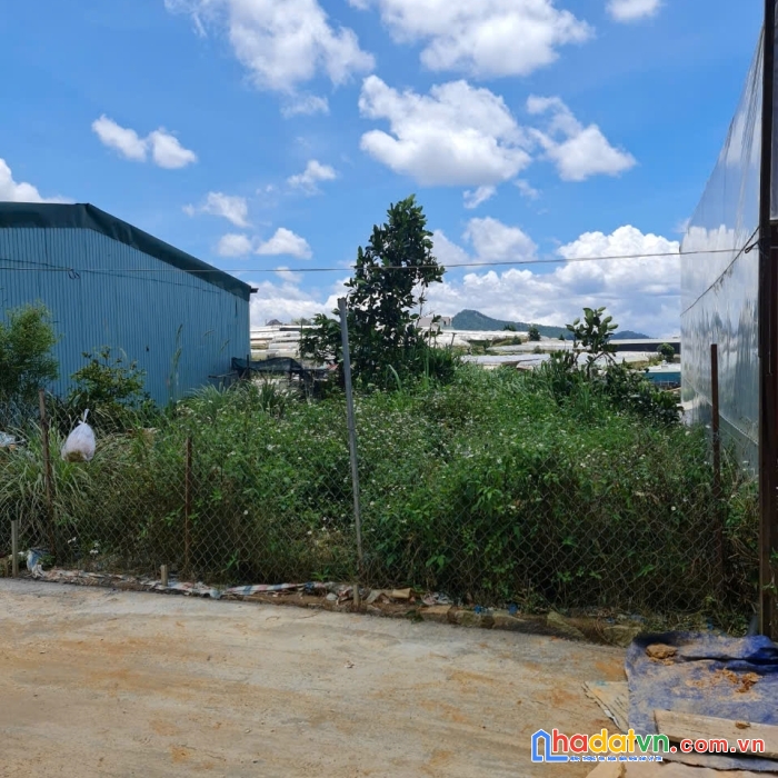 Cần bán lô đất nn khu vực trại mát p11 tp đà lạt