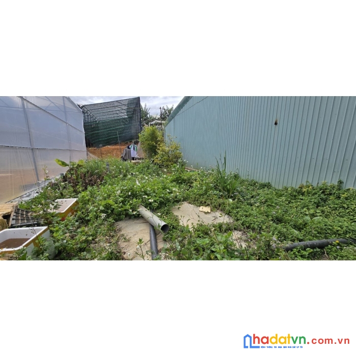 Cần bán lô đất nn khu vực trại mát p11 tp đà lạt