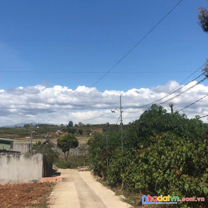 Đất hẻm ql20, phú hội, đức trọng, lâm đồng