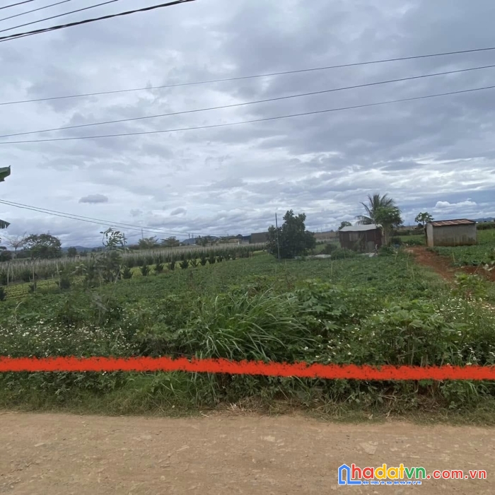 Bán 2 sào đất mặt tiền chính lê công thông, liên nghĩa đức trọng