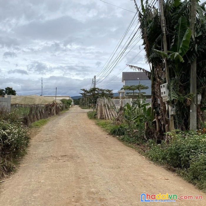 Bán 2 sào đất mặt tiền chính lê công thông, liên nghĩa đức trọng