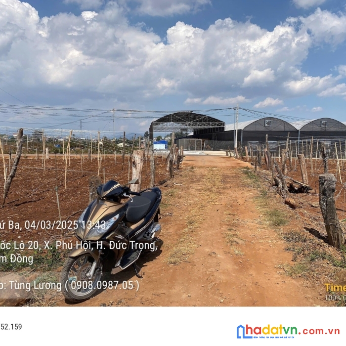 Bán đất 2 mặt hẻm petong 5m phú hội đức trọng