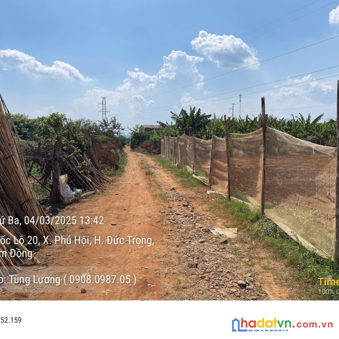 Bán đất 2 mặt hẻm petong 5m phú hội đức trọng