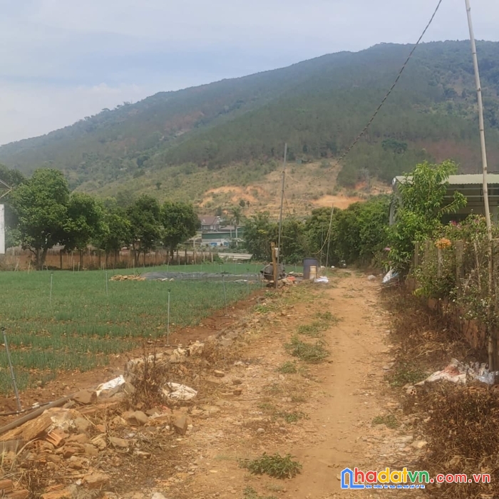 Tổng 4200m2 đất mặt tiền ql20, hiệp an đức trọng, gần khu làng gà