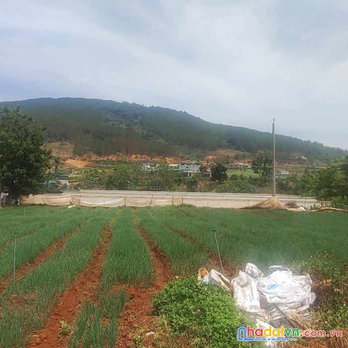 Tổng 4200m2 đất mặt tiền ql20, hiệp an đức trọng, gần khu làng gà