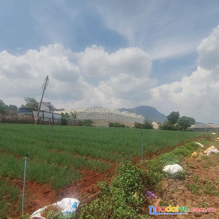 Tổng 4200m2 đất mặt tiền ql20, hiệp an đức trọng, gần khu làng gà