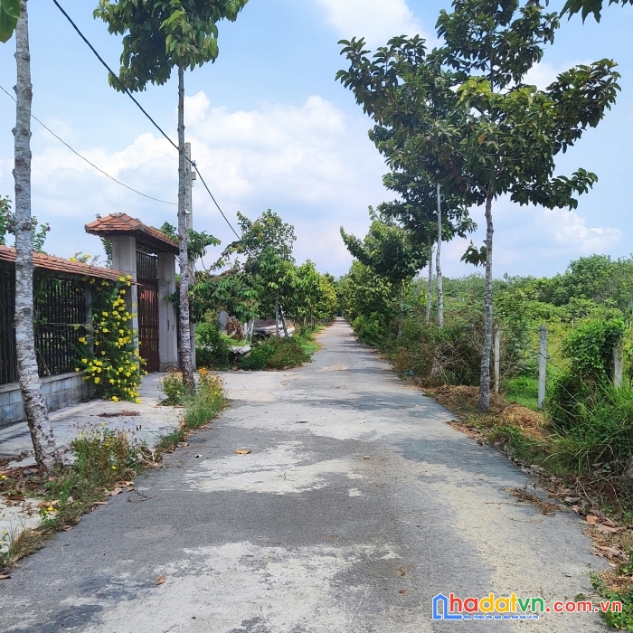 Đất củ chi cực đẹp chính chủ cần bán ngay