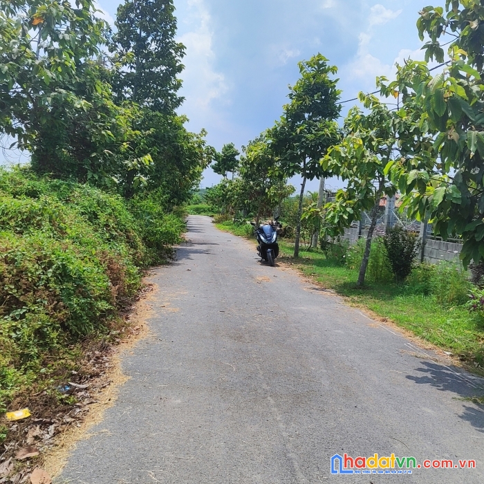 Đất củ chi cực đẹp chính chủ cần bán ngay