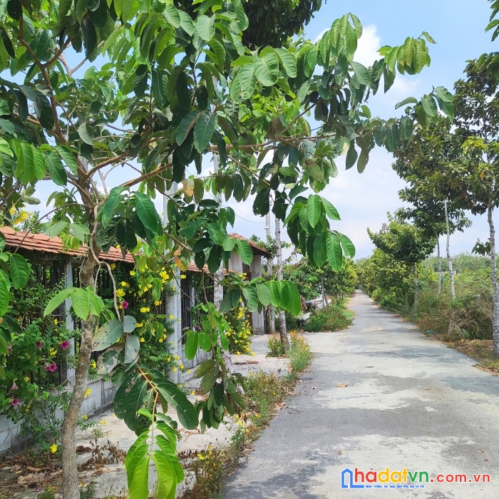 Đất củ chi cực đẹp chính chủ cần bán ngay