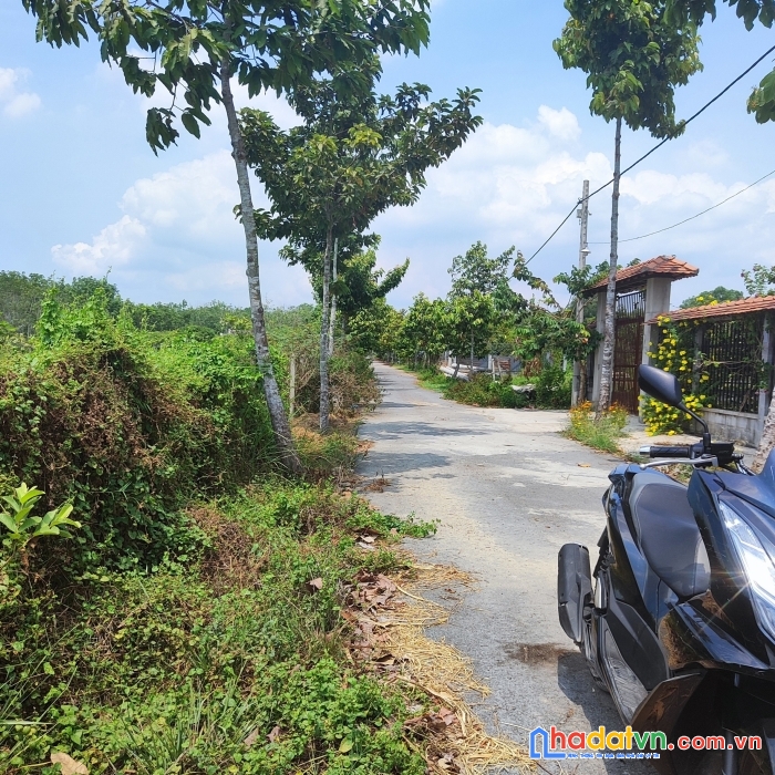 Đất củ chi cực đẹp chính chủ cần bán ngay