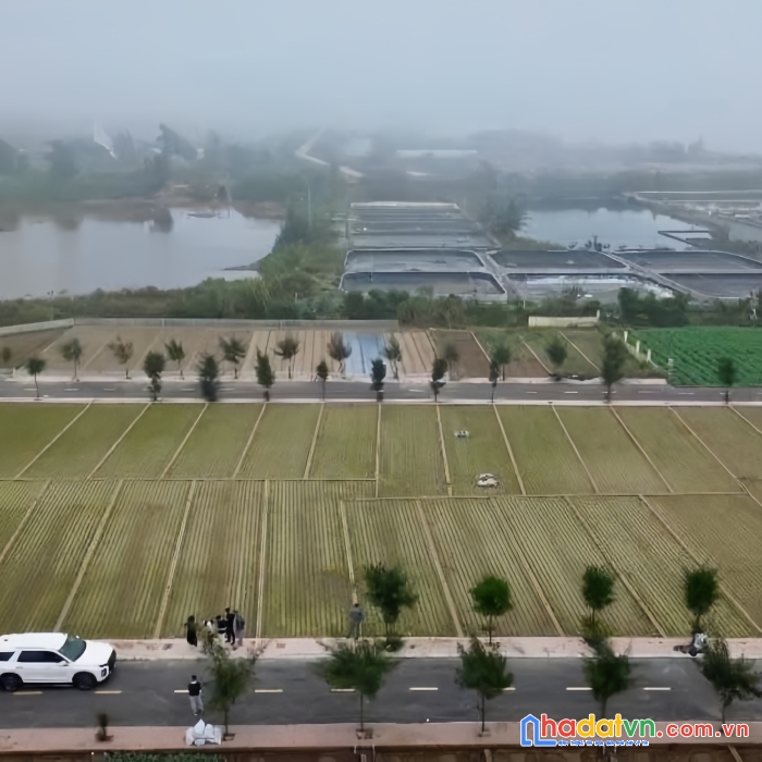 Chính chủ cần bán lô đất biển quất lâm, nam định, 90m2. vị trí trung tâm, gần bãi tắm. giá rẻ