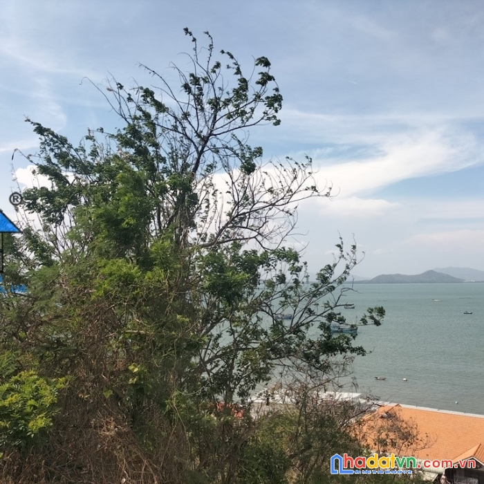 Bán đất view biển tuyệt đẹp sao mai vũng tàu b1519