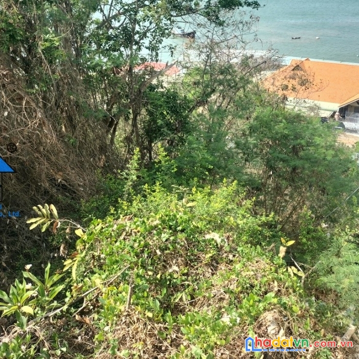 Bán đất view biển tuyệt đẹp sao mai vũng tàu b1519