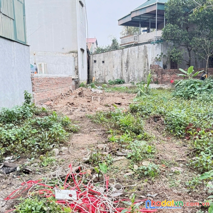 Chính chủ bán lô đất 58m² full thổ cư tại thôn thiên đông, xã mỹ hưng, thanh oai
