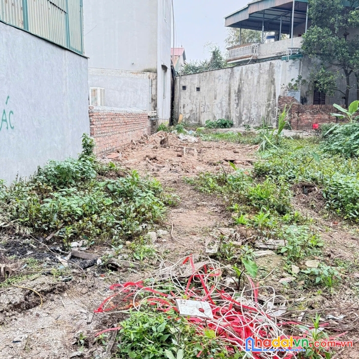 Chính chủ bán lô đất 58m² full thổ cư tại thôn thiên đông, xã mỹ hưng, thanh oai