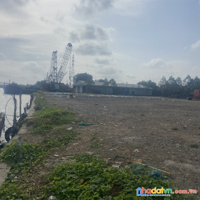 Cho thuê cảng quốc huy anh - phường tân hội - vĩnh long