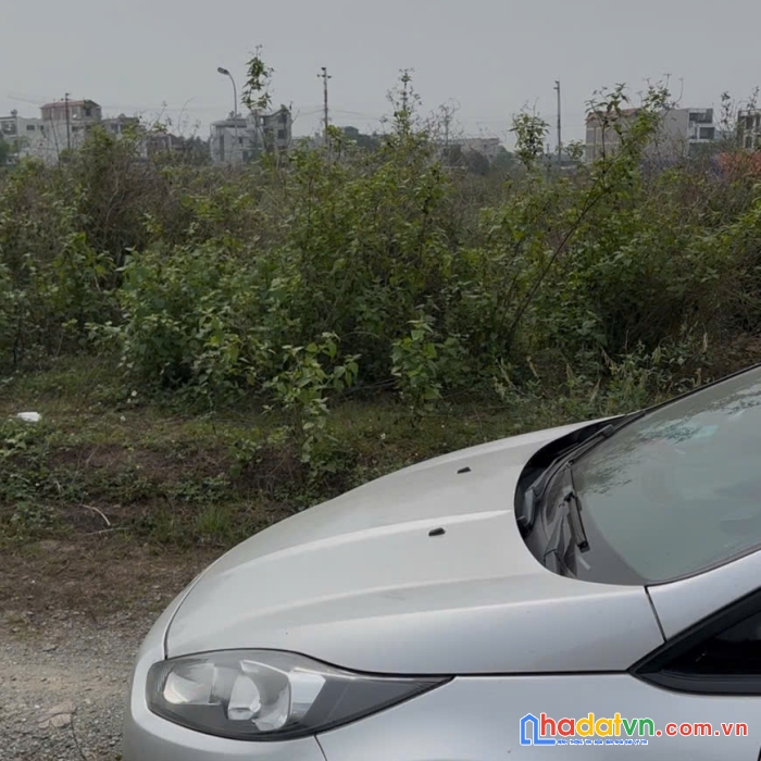 Ban dat nen du an chi dong, me linh