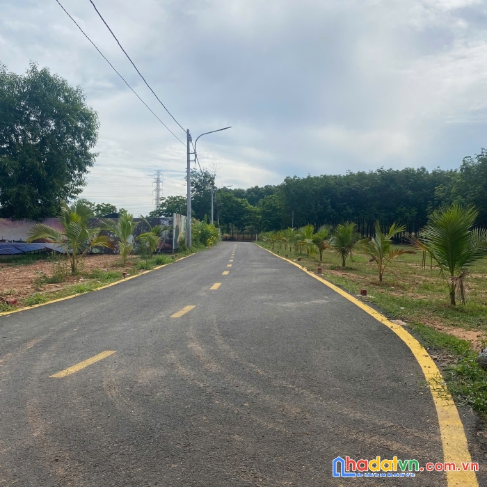 Tân định - bến cát 
chỉ 399tr đã có thể sở hữu ngay 5x30m2