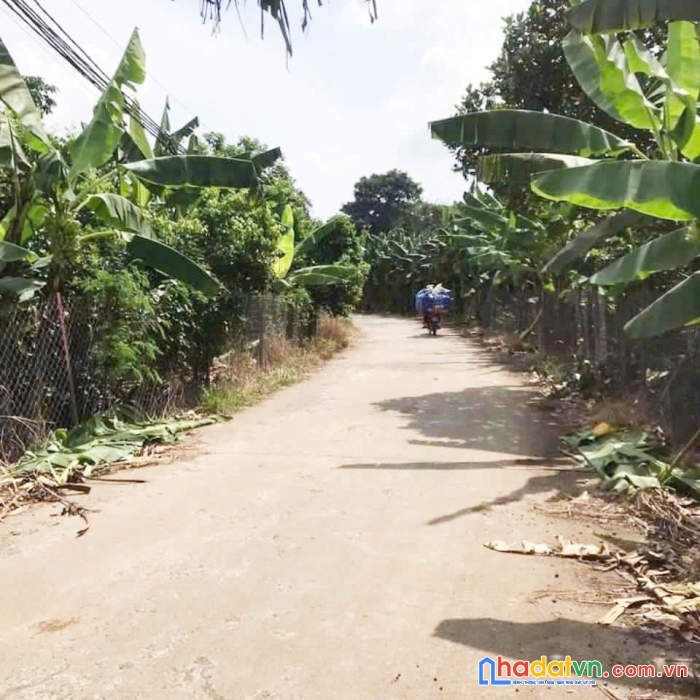 Con gái lên đại học nên bán lô đất full thổ cư ở thống nhất