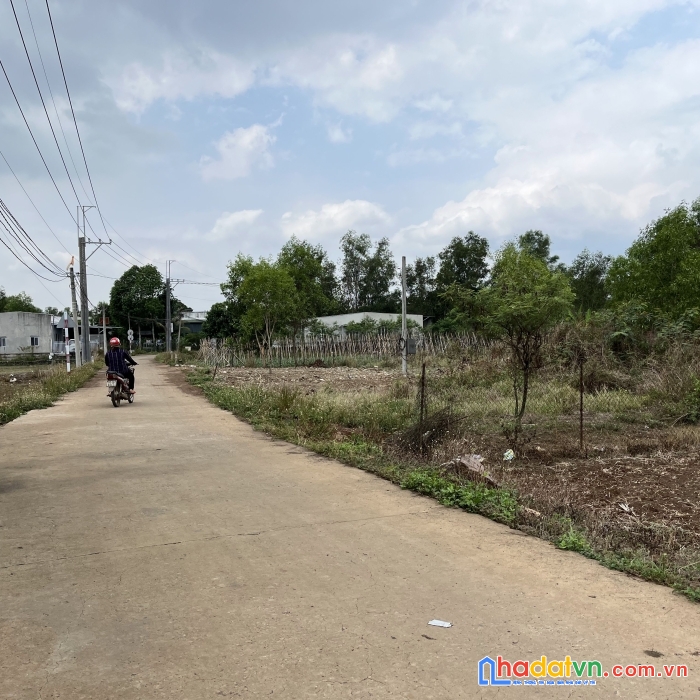 Bán view hồ trị an cho dân chơi thứ thiệt giá rẻ nhất thị trường tại định quán