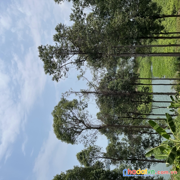 Bán view hồ trị an cho dân chơi thứ thiệt giá rẻ nhất thị trường tại định quán