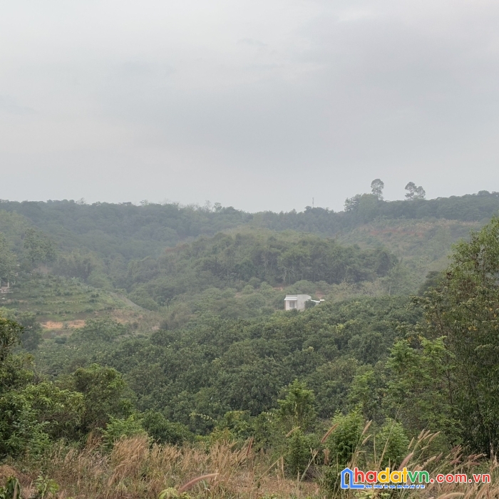 Ông anh em gửi bán lô đất vườn chỉ 285tr/1000m2 giá rẻ nhất định quán 