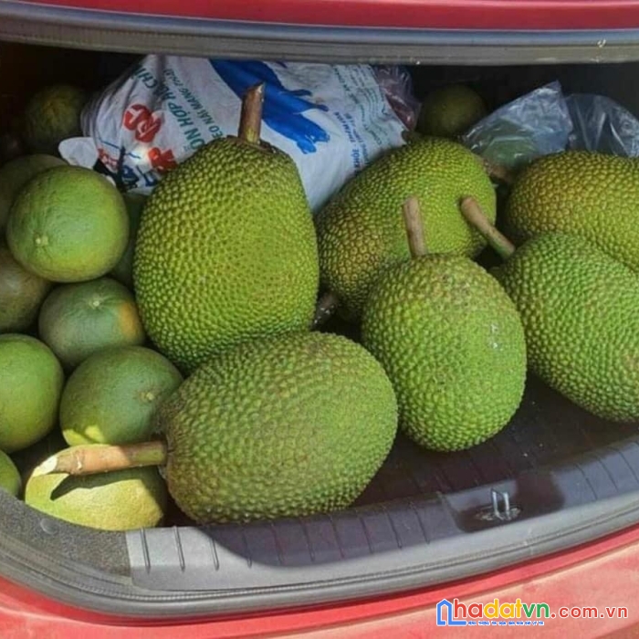 Ông anh em gửi bán lô đất vườn chỉ 285tr/1000m2 giá rẻ nhất định quán 