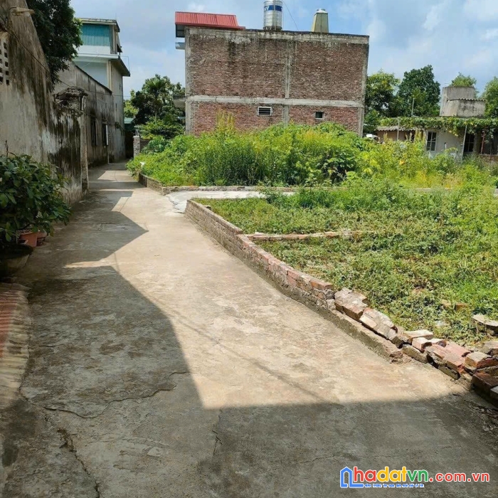 Siêu phẩm đất thổ cư ngõ ô tô, giá chỉ hơn 2 tỷ kim lâm, thị trấn kim bài 