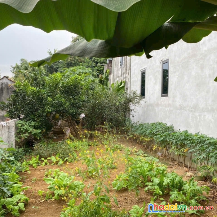 Cần bán lô đất 144m² full thổ cư tại nam phương tiến - gần quốc lộ 21a! giá chỉ 1,45 tỷ