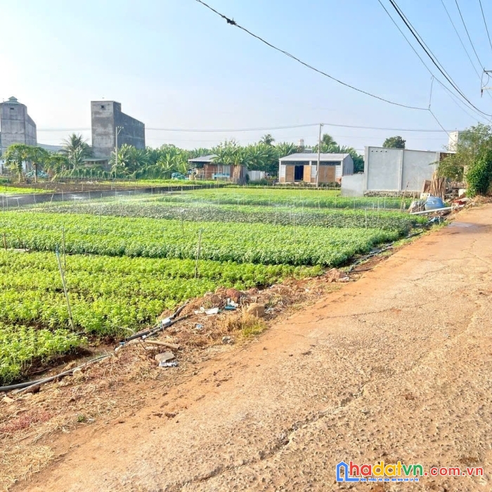 Bán lỗ lô đất full thổ cư 100% giá rẻ vì có việc cần tiền gấp