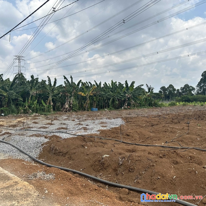 1000m2 giá 285tr sở hữu ngay lô đất vườn tại định quán
