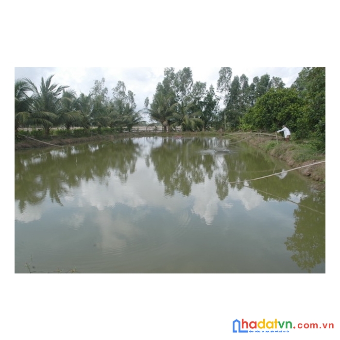 Chính chủ bán giá ngợp lô đất vườn có ao nhỏ giá 585tr/1000m2 tại định quán