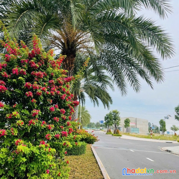 Bạn còn phân vân chưa biết chọn nơi nào, đất long thành chỉ hơn 900tr