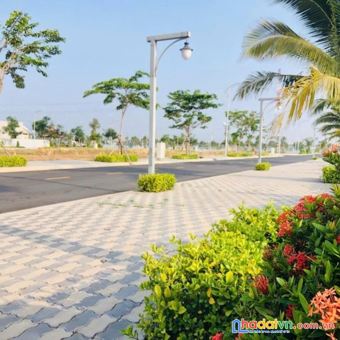 Bạn còn phân vân chưa biết chọn nơi nào, đất long thành chỉ hơn 900tr