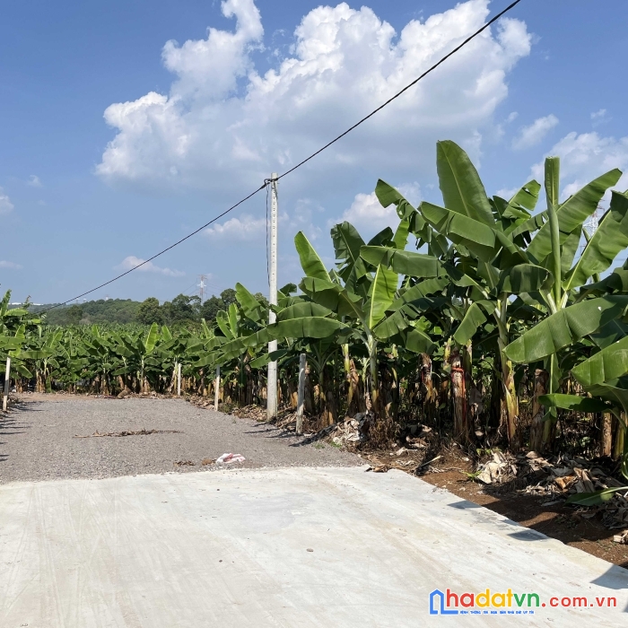 Chỉ 580tr sở hữu ngay lô đất siêu đẹp tại định quán