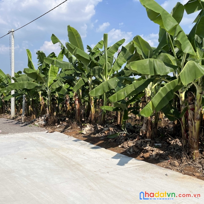 Chỉ 580tr sở hữu ngay lô đất siêu đẹp tại định quán