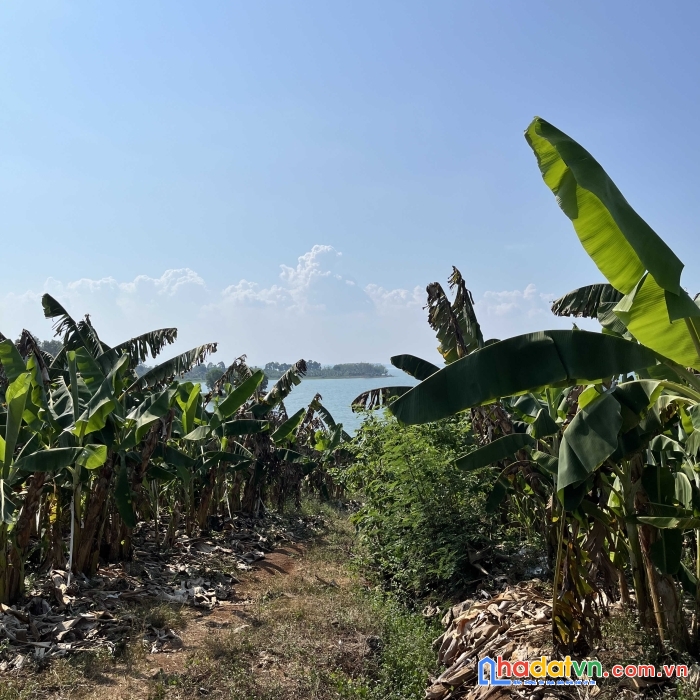 Chỉ 580tr sở hữu ngay lô đất siêu đẹp tại định quán