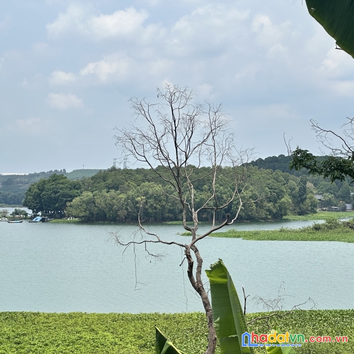 Chủ cần bán gấp nhanh gọn lô đất giá ngợp tại định quán