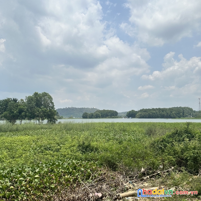 Chủ cần bán gấp nhanh gọn lô đất giá ngợp tại định quán