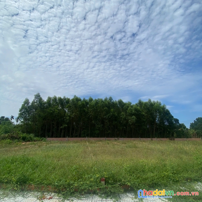 🚀 sở hữu ngay đất vị trí vàng – giá siêu rẻ chỉ nhỉnh 4xx triệu! 🚀