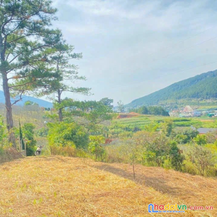Đất nghỉ dưỡng thuộc hiệp an, đức trọng, lâm đồng