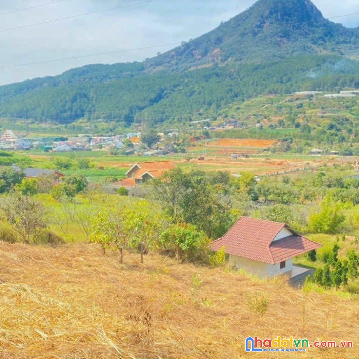 Đất nghỉ dưỡng thuộc hiệp an, đức trọng, lâm đồng