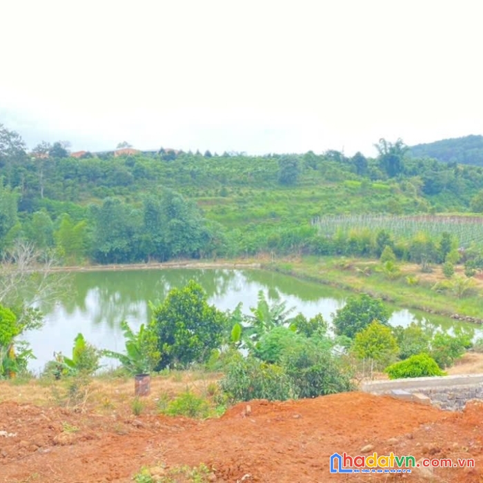 1 héc ta (10.000m2), mà giá chỉ 11 tỷ thuộc xã n'thôn hạ, đức trọng